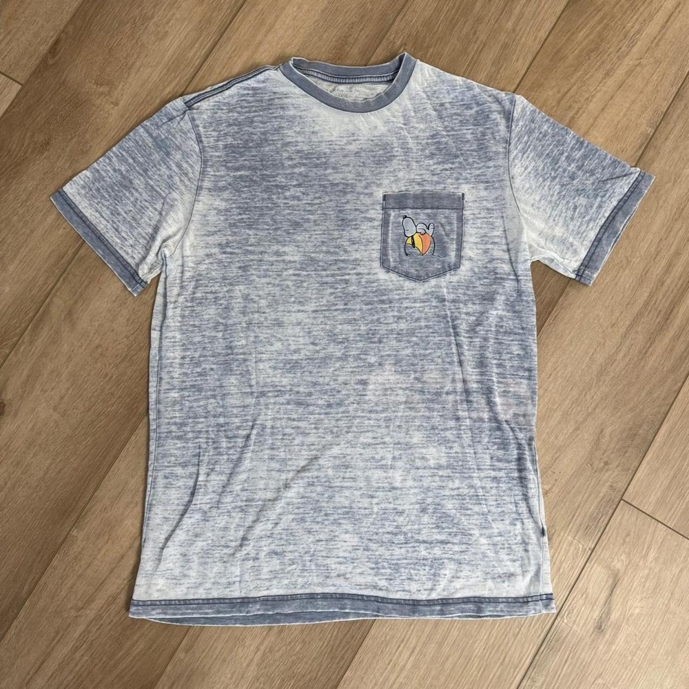 American Eagle Outfitters Peanuts Snoopy gray heathered cotton t-shirt size XS